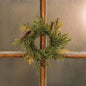 6"  Prickly Pine Ring Moss Green (Pack of 4)