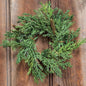 6"  Prickly Pine Candle Ring  Green  (Pack of 4)