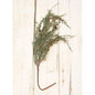 Snowy Weeping Cedar Hanging Branch (Pack of 4)