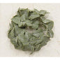 Matte Mint Candle Ring 1" (Pack of 4)