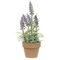 Potted Mountain Bells Purple (Pack of 4)