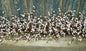 Snow White Pip Garland 4 ft.