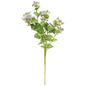 Queen Ann's Lace Spray Purple (Pack of 2)