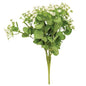 Mixed Heather Bush Cream (Pack of 2)
