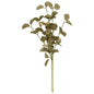 Foamy Silver Dollar Spray Sage (Pack of 4)