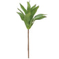 Lily Succulent Stem (Pack of 4)