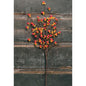Bittersweet Spray 18" (Pack of 4)