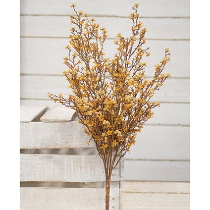 Star Flower Berry Bush - Earthtone