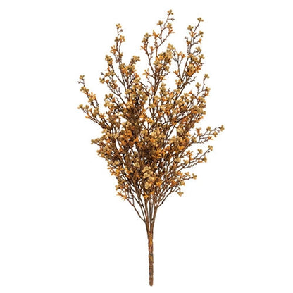 Star Flower Berry Bush - Earthtone