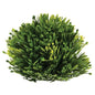 Seed Head Half Sphere 6" (Pack of 2)