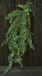 Snowy Hanging Baby's Grass (Pack of 2)