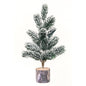 Snowden Pine Tree 12" (Pack of 2)