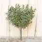 Icy Pebble Eucalyptus Bush 14" (Pack of 2)