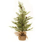 North Rim Hemlock Tree 24"