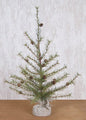 Cypress Pine Tree 3 ft.