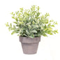 Icy Gatehouse Pot #2 7" (Pack of 4)
