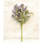 Lifting Lilac Bundle 18" (Pack of 2)