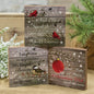 Beauty of the Season Block 3 Asstd. (Pack of 4)