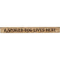 A Spoiled Dog Lives Here Engraved Block 18"  (Pack of 4)