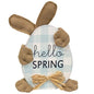 Hello Spring Huggy Bunny Sitter