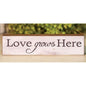 Love Grows Here Block (Pack of 4)