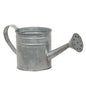 Natural Zinc Watering Can (Pack of 4)