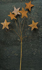 Rusty Star Pick - 12" (Pack of 4)