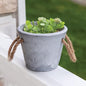 Medium Cement Planter With Jute Handles  (Pack of 4)