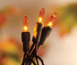 Amber Light Set 20 ct. (Pack of 4)