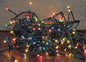 Multicolor Twinkle Lights By CWI Gifts