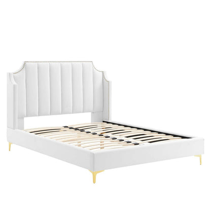 Daniella Performance Velvet Queen Platform Bed by Modway