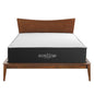 Aveline 14" Memory Foam Full Mattress by Modway