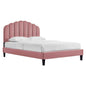Daisy Performance Velvet Twin Platform Bed by Modway
