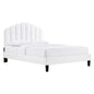Daisy Performance Velvet Twin Platform Bed by Modway