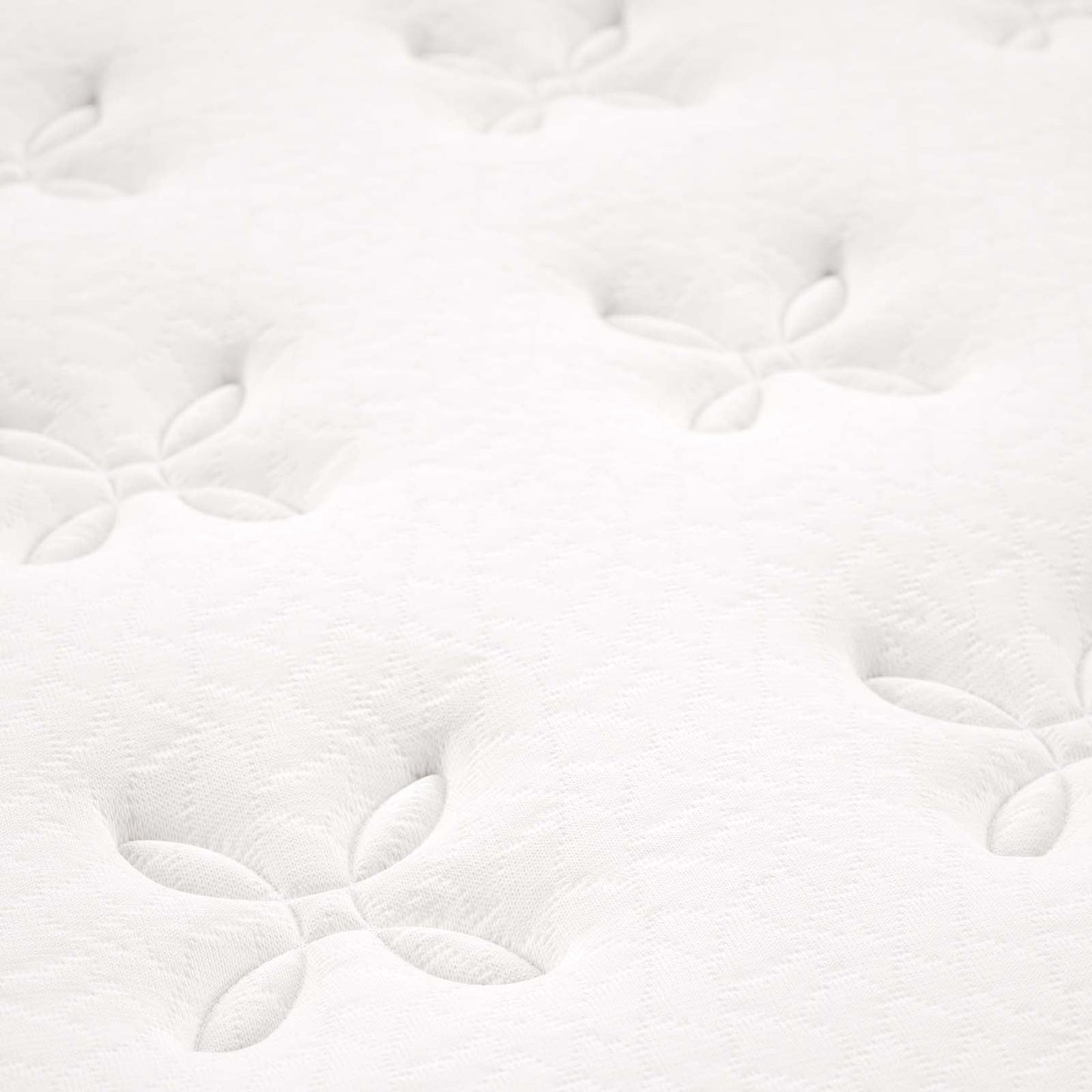 Jenna 6" Innerspring and Foam Full Mattress by Modway