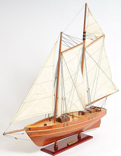America Cup Racing Yacht Fully Assembled Model