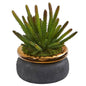 10" Cactus Artificial Plant in Black Planter with Bronze Rim