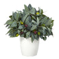 10" Olive Artificial Plant with Berries in White Planter