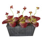 10" Succulent Artificial Plant in Embossed Tin Planter