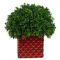11" Boxwood Topiary Artificial Plant in Red Planter UV Resistant (Indoor/Outdoor)