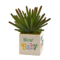 11" Cactus Artificial Plant in “New Baby" Planter