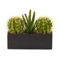 11" Cactus Succulent Artificial Plant in Black Planter