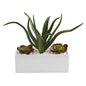 12" Aloe and Echeveria Succulent Artificial Plant in White Planter