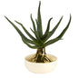 12" Aloe Succulent Artificial Plant in Gold and Cream Elegant Planter