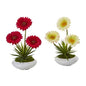 12" Gerber Daisy and Succulent Artificial Arrangement in White Vase (Set of 2)
