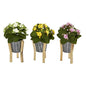 12" Kalanchoe Artificial Plant in Tin Planter with Legs (Set of 3)