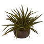 13" Aloe Succulent Artificial Plant in Stone Planter