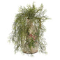 13" Tillandsia Moss Artificial Plant in Floral Pitcher