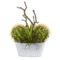 14" Cactus and Agave Succulent Artificial Plant in White Tin Planter