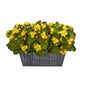 14" Kalanchoe Artificial Plant in Black Embossed Planter
